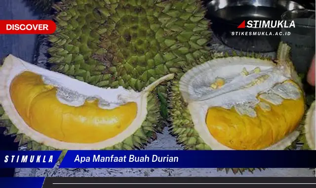 apa manfaat buah durian