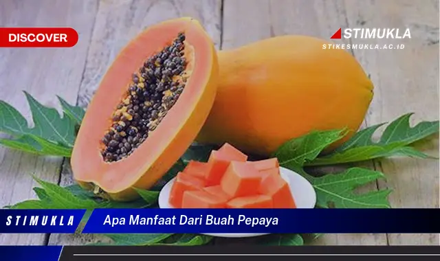apa manfaat dari buah pepaya