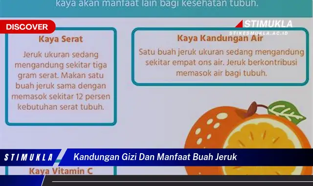 kandungan gizi dan manfaat buah jeruk kandungan gizi dan manfaat buah jeruk