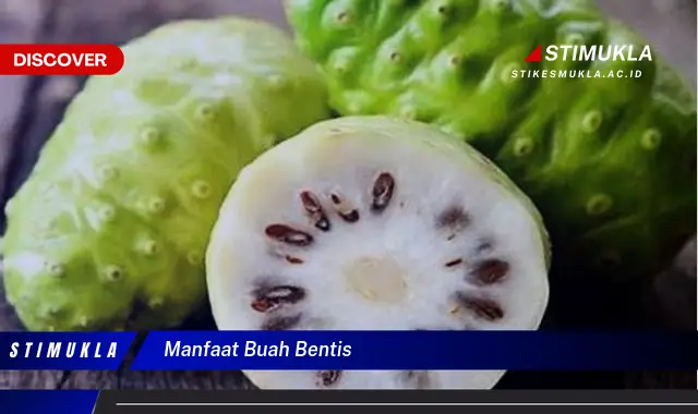manfaat buah bentis