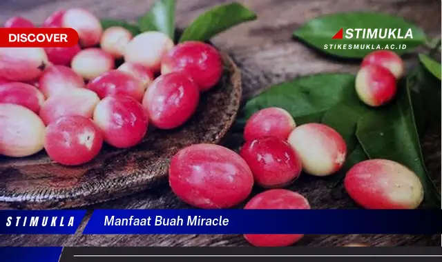 manfaat buah miracle