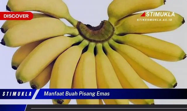 manfaat buah pisang emas