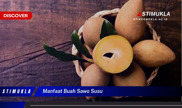 manfaat buah sawo susu
