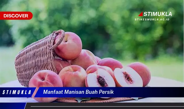 manfaat manisan buah persik