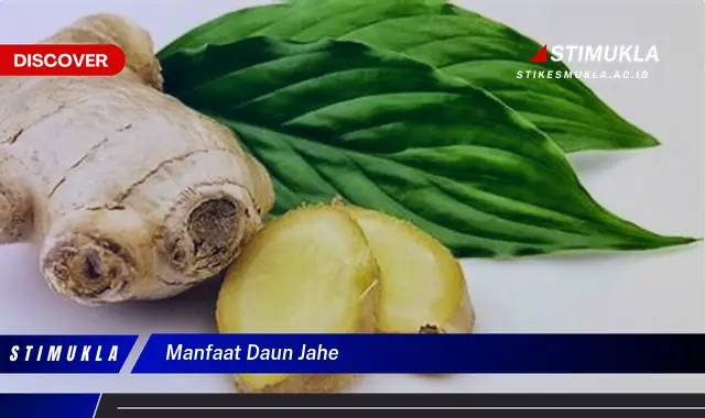 Temukan 5 Manfaat Daun Jahe yang Bikin Kamu Penasaran