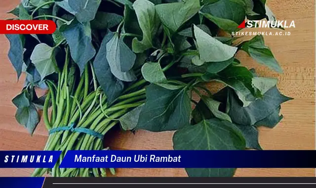 manfaat daun ubi rambat