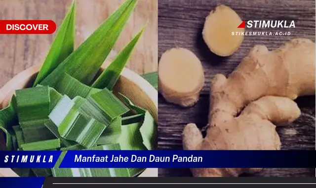 manfaat jahe dan daun pandan